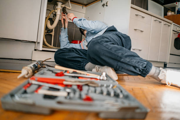 Best Same-Day Plumbing Service  in Windsor, IL