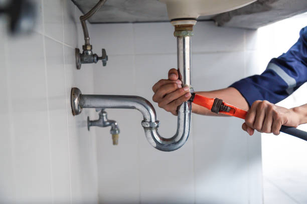 Best Commercial Plumbing Services  in Windsor, IL
