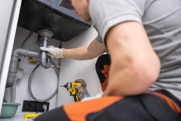 Best Plumbing Services Near Me  in Windsor, IL