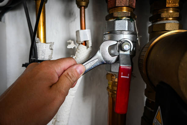 Best Sprinkler Systems  in Windsor, IL